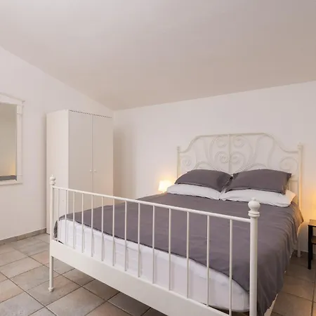 Loncar * Seget Vranjica