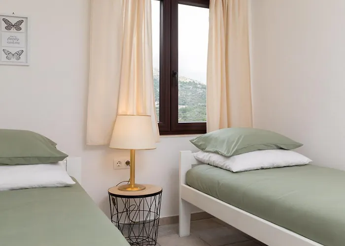 Loncar 希杰·弗朗吉卡